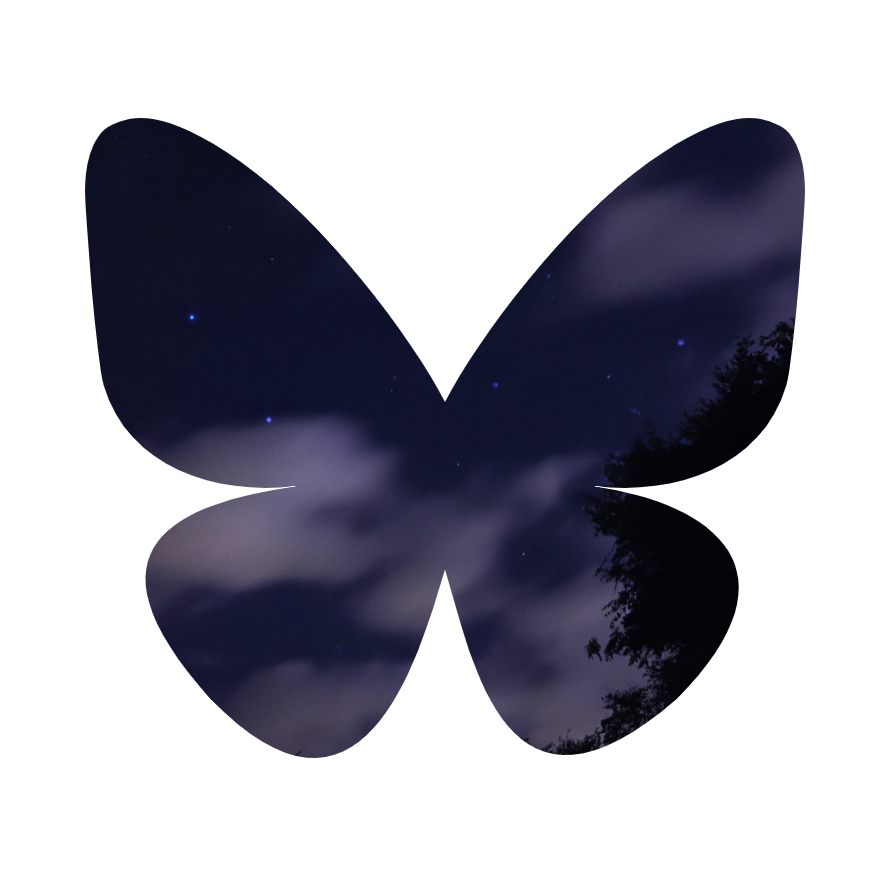 A butterfly outline on a white background. The butterfly is filled with the image of a starry nightsky.
